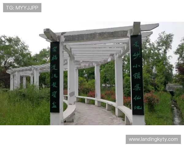 开云如何避免取款失败，详细分析常见原因及解决方案