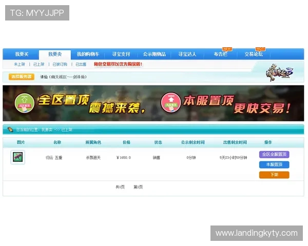 掌握开云网站登录技巧提升账号安全性与游戏体验的实用建议
