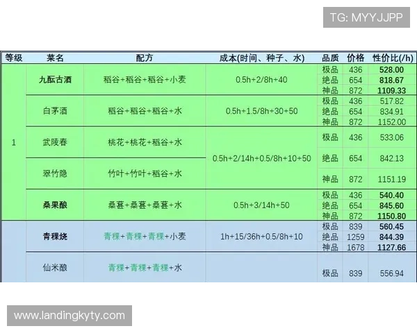 详细解析Kaiyun开云注册登录入口流程，确保玩家顺利完成账号注册与登录操作